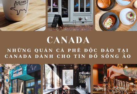 Những quán cà phê độc đáo tại Canada dành cho tín đồ sống ảo